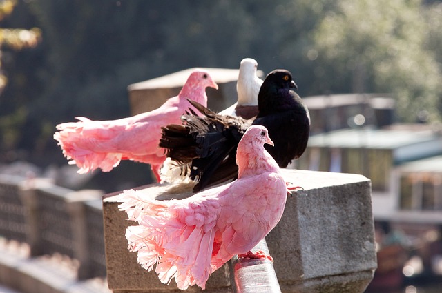 备战与西海岸的荣誉之战，已提前降级的亚泰将在明日集结